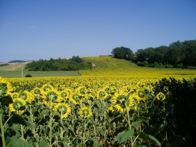 Jean l’aîné prend les rênes de Moquet