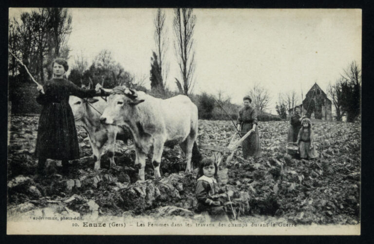 Rioux-Martin durant la grande guerre de 14-18